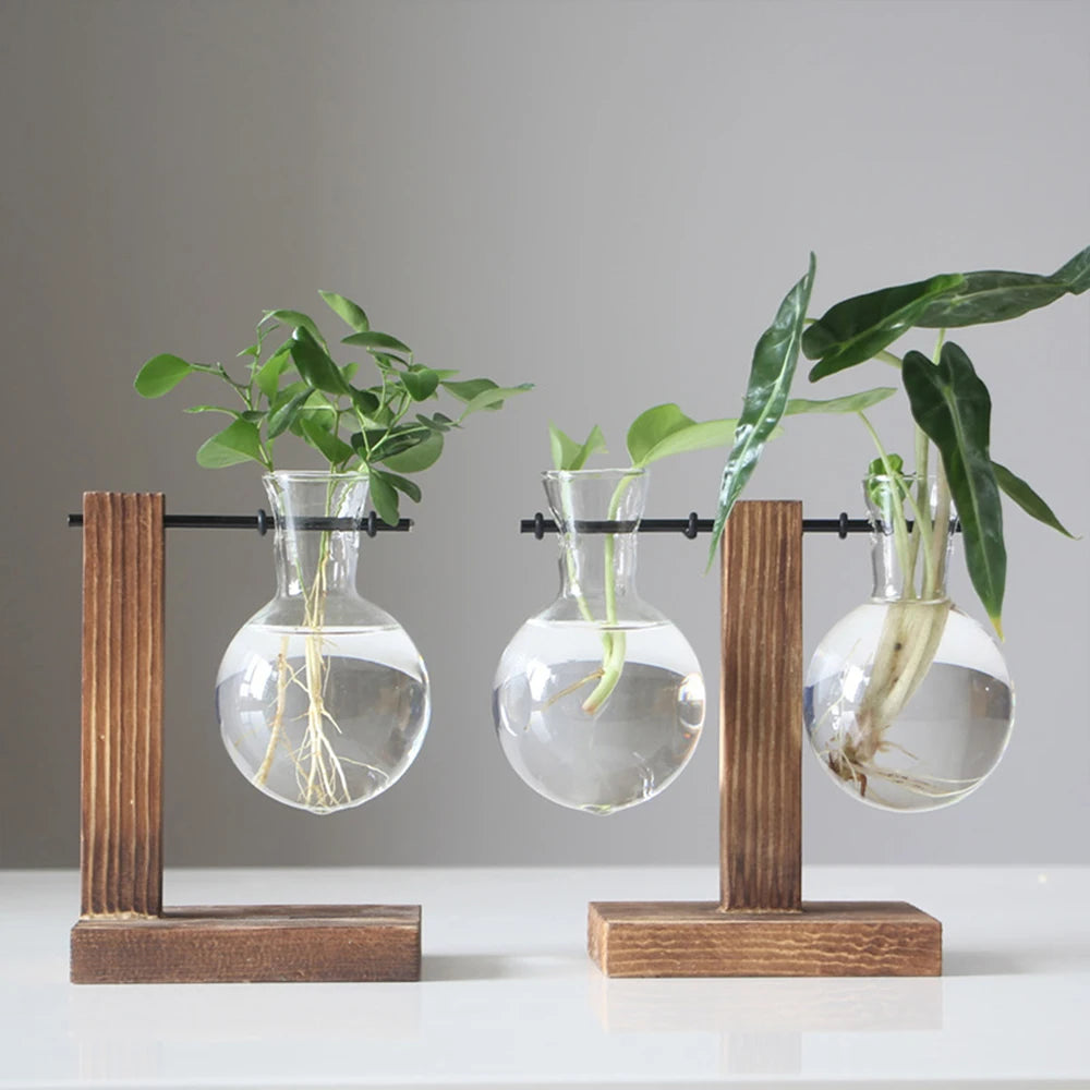 Creative Glass Desktop Planter Bulb Vase Wooden Stand Hydroponic Plant Container Home Tabletop Decor Vases